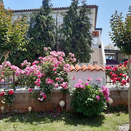 Beachfront In Novigrad-istrien 44244 Apartman *